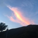 한가한오후 이미지