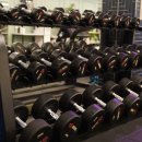 스페셜 바디 이미지