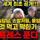 가슴통증 손발저림 불임증 막힌 기 스트레스 푸는 법 - 향부자 이미지