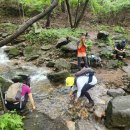 #용구정기산행413차태화산(칠보산대체)24.7.21(하산식사딱이네확장이전축하 이미지