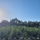 미듬부동산공인중개사사무소 이미지