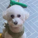 견생 이발소 이미지