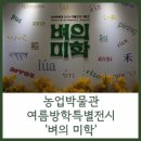 [서부] 라탄&짚풀공예 | [아이와 가기 좋은 곳] 서대문 농업박물관 여름방학 기획전 <벼의 미학>, 여름방학 문화교실 후기