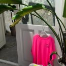 스마일광택 이미지