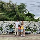 안덕면행정복지센터 이미지