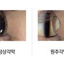 삼계성모안과 이미지