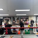 효성 복싱체육관 이미지
