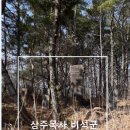 산위축사 티스토리
