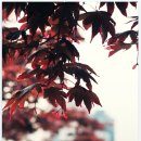 부산시립미술관 이미지