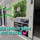 테라스골프존 이미지