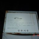 늘티 이미지