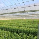 신마농장 이미지