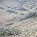 매골농장 이미지