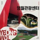 카페(Cafe) 보름달 | 영월 가볼만한곳 추천 힐링 코스 🌿 영월관광센터 3층 카페 솔직 후기 (feat. 청령포 근처 카페)