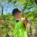 미술관유치원 이미지