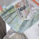 건강을 지키는 차생활 | 🦷 소금 양치 8년차 체험 후기 | 치아 건강 지키는 생활습관