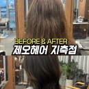제오헤어(지축점)