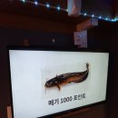 얼빵낚시카페 이미지