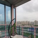 마이달링독 이미지