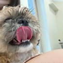 허그몽몽 이미지