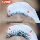 네일트리 이미지