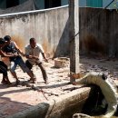 성숙농장 이미지