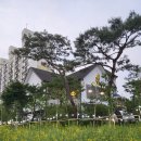 충남예술고등학교 | 오르엘크리스탈카페 천안 빵집으로 유명한 이유