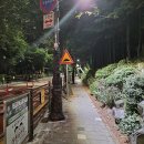 용인 이미지