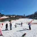 홍천리조텔 | 비발디파크 렌탈샵 뽀삐스키에서 가족 여행 준비, 직접 이용해본 후기
