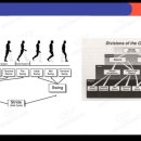 be better fitness 이미지