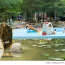 비슬리조트 이미지