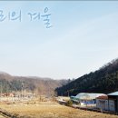 시우리