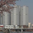 뉴코아수선