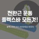 스타사 | 전완근 운동 기구 플렉스바 내돈내산 후기