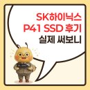 닉스PC | SK하이닉스 P41 SSD 후기 및 성능 테스트 총 정리