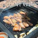 팀아울뚝방뚱돼지 | 용산 회식장소 추천 뚝방뚱돼지 야장 삼겹살 맛집
