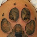 바이오메카 이미지