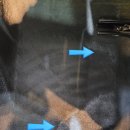 남산크리닝 이미지