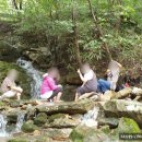 고산 산림교육센터 이미지