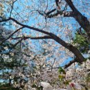 훼미리식품(주)부산공장 | 신앙촌식품 부산아이와가볼만한곳 신앙촌견학 런요구르트 어린이급식 현장학습