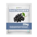 엔트