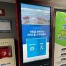 청소년수련관 수영장 이미지