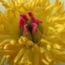 기범농장 이미지