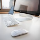 신보문장 이미지