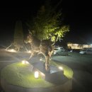 (주)장문 1969 이미지