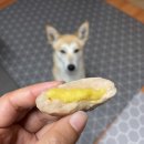 함박체형관리 이미지