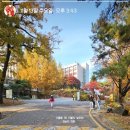 [24-2] 연세대학교 국내 학점교류 후기