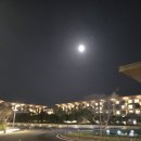 제주신화월드호텔 이미지