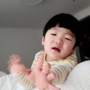 아기도깨비어린이집 이미지