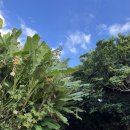 (주)무이디자인 | 오키나와 남부 감성숙소 mui 무이 후기 | 신혼여행 힐링 숙소 추천